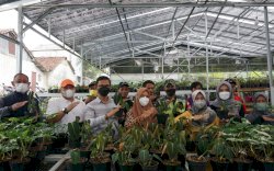 Kementan Dukung Pengembangan Green House Bojongkerta, Cikal Bakal Pemasok Tanaman Hias Ekspor