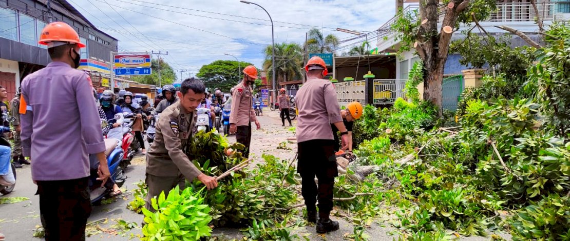 Sat Pol PP, dan PLN serta Dinas Tata Ruang Kabupaten Bone bahu membahu menebang sejumlah pohon berukuran besar/Ist Sat Pol PP, dan PLN serta Dinas Tata Ruang Kabupaten Bone bahu membahu menebang sejumlah pohon berukuran besar/Ist