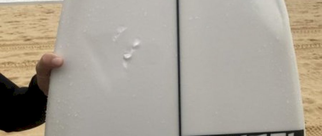 Peselancar di Australias Ditabrak Hiu, Papan Selancar Digigit