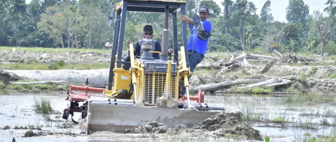 Bupati Luwu Utara Indah Putri Indriani meninjau kegiatan optimalisasi area persawahan sekaligus melaunching pengoperasian Buldozer Multifungsi D. 21 Komatsu/Ist