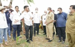 Perkuat Perekonomian, Kementan Gandeng Perguruan Tinggi Gelorakan Kearifan Pangan Lokal