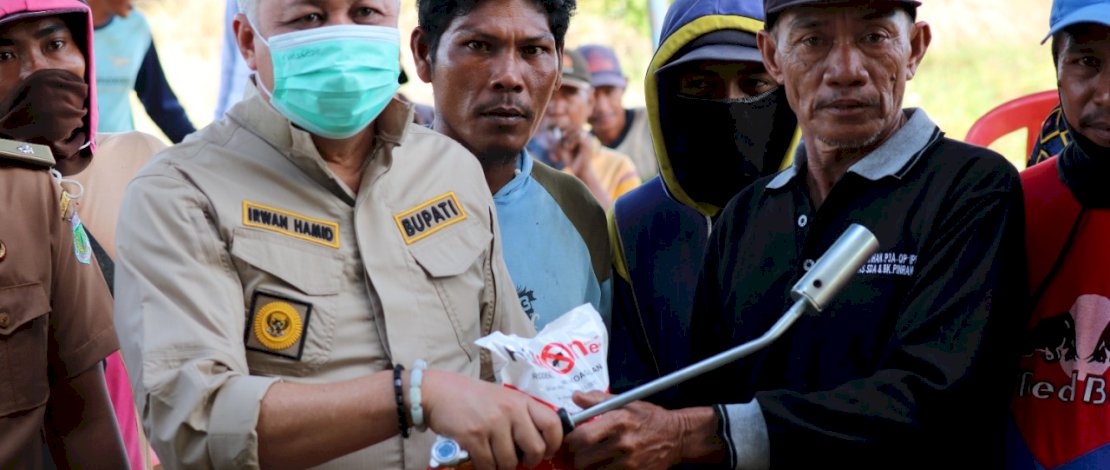 Bupati Pinrang Hadiri Gerakan Pengendalian Hama Tikus
