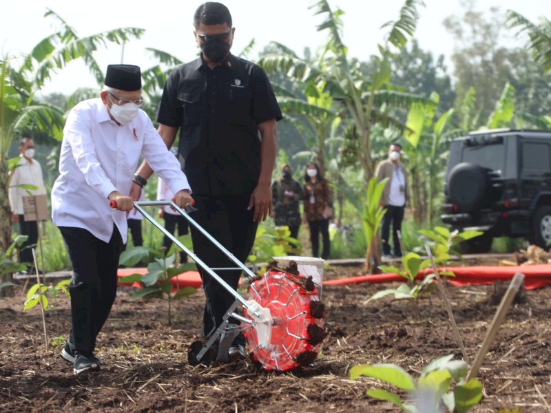 Wapres Ajak Masyarakat Bertani Dengan Konsep Integrated Farming