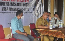 Budiman Siap Jaga Kontrak Karya PT Vale Indonesia di Luwu Timur