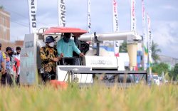 Ekonomi Sulsel Tumbuh, Gubernur : Alhamdulillah, Sektor Pertanian Berperan Besar