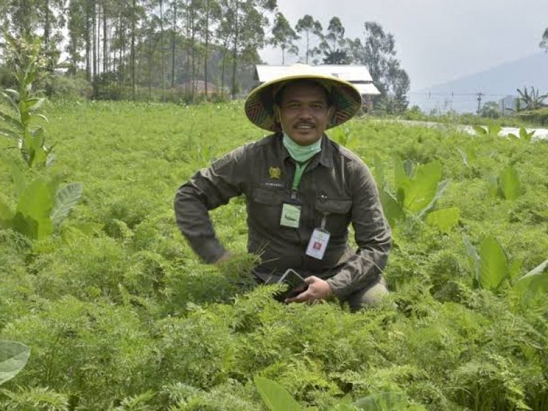 Kementan - Kemenperin Dorong Inovasi Industri Kreatif Pangan Berbasis Digital
