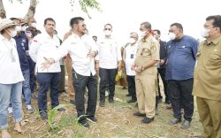 Perkuat Sektor Pertanian Sebagai Bantalan Ekonomi, Kementan Tingkatkan Peran Inkubator Pemberdayaan UMKM