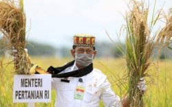 Kabar Gembira untuk Petani, Kementan-Bulog Siap Beli Beras Petani Rp9.700 per KG
