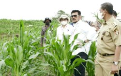 Akselerasi Pertanian Maju Mandiri Modern, Kementan Dorong Penggunaan Teknologi Informasi