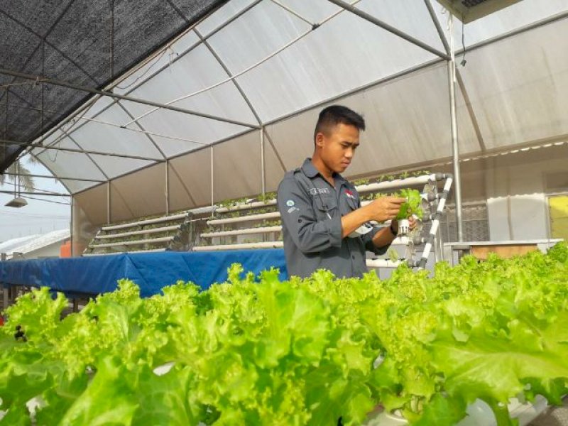 DPR, HKTI, KTNA dan HMPO Sepakat Penggunaan Pupuk Organik Diperluas