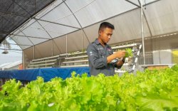 DPR, HKTI, KTNA dan HMPO Sepakat Penggunaan Pupuk Organik Diperluas