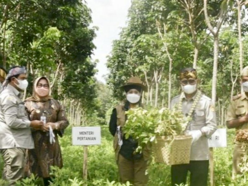 Terapkan Inovasi dan Teknologi Modern, Ini Success Story Bertani Milenial
