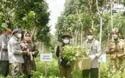 Terapkan Inovasi dan Teknologi Modern, Ini Success Story Bertani Milenial