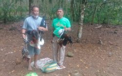 Polisi di Bulukumba Bongkar Arena Judi Sabung Ayam