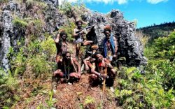 Setelah Serang Satgas TNI-Polri, KKB Papua Bakar Bangunan Pabrik