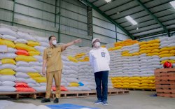 50 Persen Beras Petani Sulsel Suplai Kebutuhan Bulog Secara Nasional