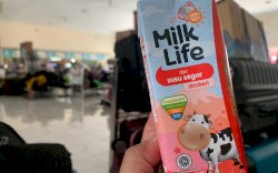 Mudik Sehat Bersama MilkLife Kurma, Tips Menjaga Stamina Selama Mudik Ala dr Diana F. Suganda