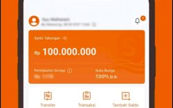 Mengintip Aset 5  Bank Digital Terjumbo, Seabank Meroket