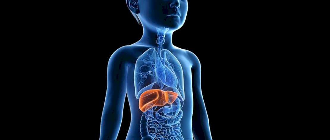 Kasus Hepatitis Misterius Terus Bertambah, Taufan Pawe Minta Masyarakat Tetap Waspada 