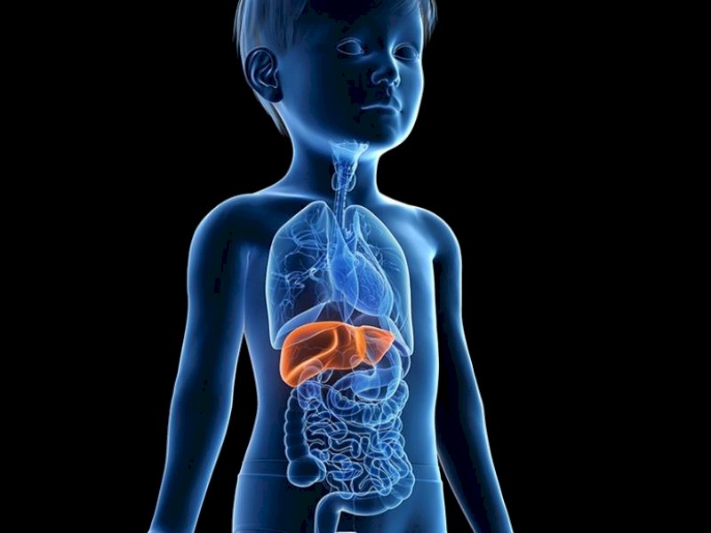 Kasus Hepatitis Misterius Terus Bertambah, Taufan Pawe Minta Masyarakat Tetap Waspada 