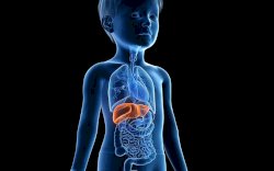 Kasus Hepatitis Misterius Terus Bertambah, Taufan Pawe Minta Masyarakat Tetap Waspada 