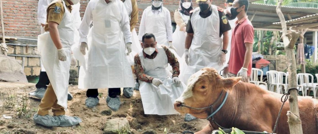 Menteri Pertanian, Syahrul Yasin Limpo, memantau langsung kondisi hewan ternak yang terkena PMK, di Gresik.