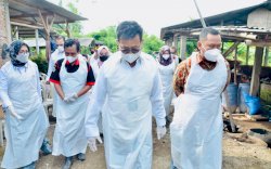 Jangan Panik! Kementan Pastikan Penanganan PMK Sudah Berjalan Maksimal