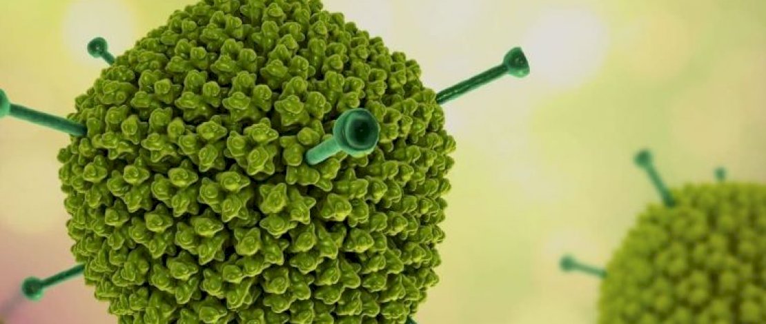 Penyebab Hepatitis Misterius di Indonesia Bukan dari Luar Negeri