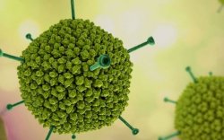 Penyebab Hepatitis Misterius di Indonesia Bukan dari Luar Negeri