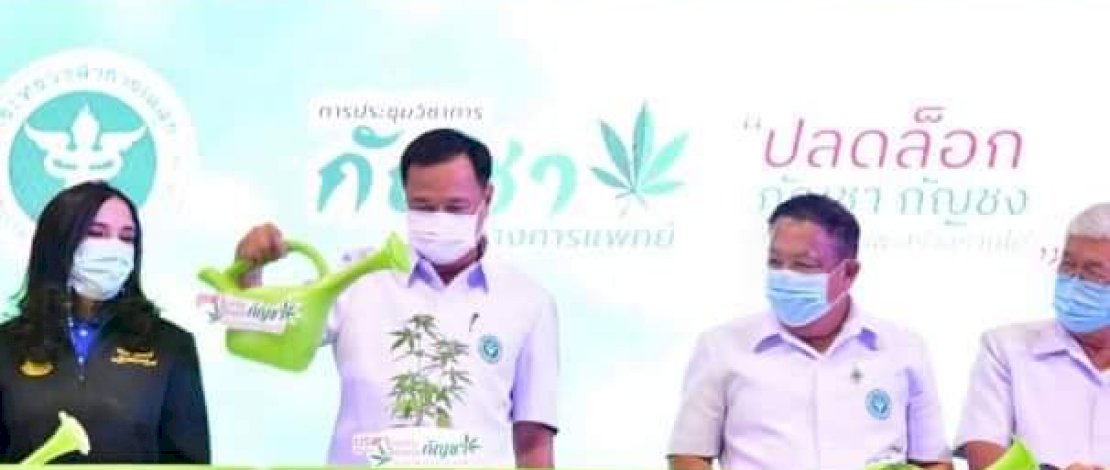 Menteri Kesehatan Thailand menyiram pohon ganja dalam Pembukaan Simposium Ganja Medis, Area Kesehatan 6 