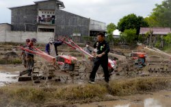 Kementan Dorong Jeneponto Tingkatkan Indeks Pertanaman