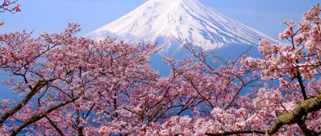 Rekomendasi Destinasi Wisata di Jepang yang Memanjakan Mata