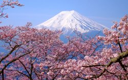 Rekomendasi Destinasi Wisata di Jepang yang Memanjakan Mata