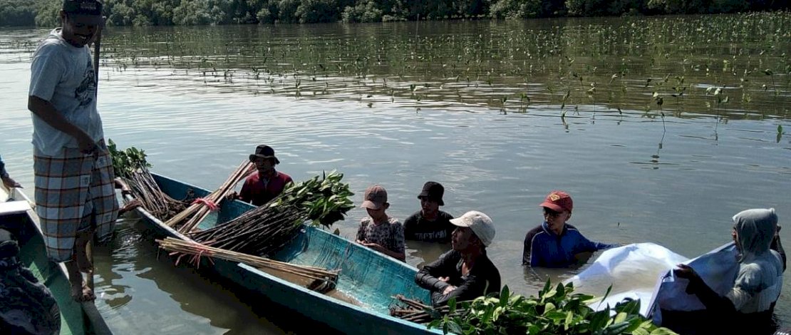 Jaga Ekosistem Lingkungan, Pemprov Sulsel Lakukan Penanaman 39 ribu Batang Mangrove di Desa Marannu Maros