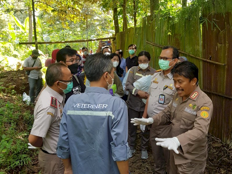 Kolaborasi Kementan dan Pemda Jateng Pastikan Hewan Kurban Sehat