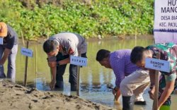 Peringati Hari Lingkungan Hidup, Komunitas di Banteng Tanam 1000 Pohon Mangrov