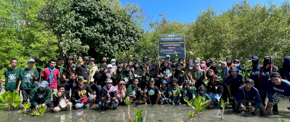Peringati Hari Lingkungan Hidup, MMP Tanam Mangrove dan Lepas Tukik