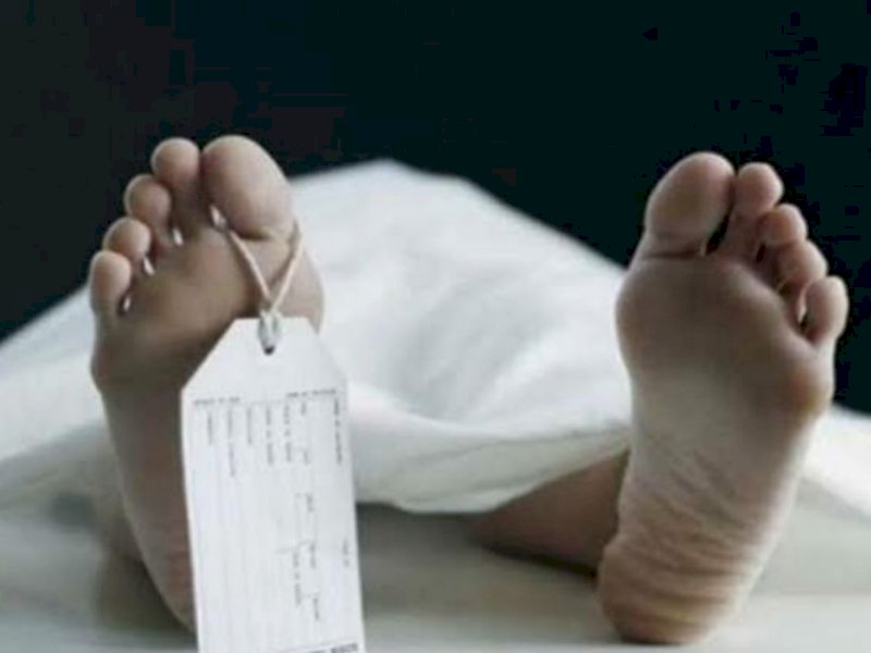 Pembatas Kebun Maut, Warga Sinjai Tewas di Tangan Tetangga
