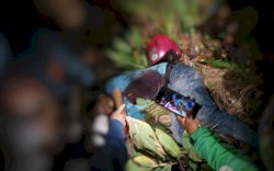 Seorang Pemuda Buruh Harian Ditemukan Tewas Bersimbah Darah di Depan Mako XIV