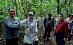 Siap Sambut Tim Penilai Unesco, Suhartina Bohari Tinjau Geosite di Maros