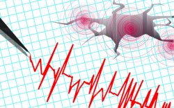 Malam Ini Gempa M 3,5 Guncang Selayar
