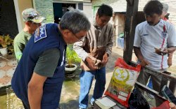 Pemprov Sulsel Pastikan Benih Yang Tidak Tumbuh di Bulukumba Bukan Dari Program Mandiri Benih