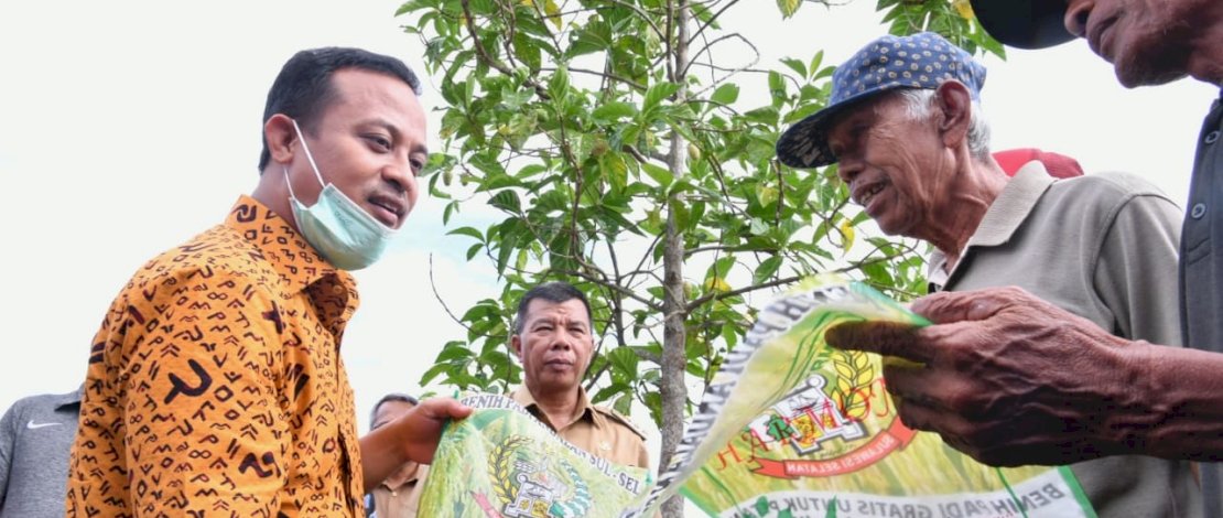 Di Bulukumba, Gubernur Andi Sudirman Tinjau Sawah yang Tanam &lsquo;Mandiri Benih&rsquo; di Lahan Pertanian Warga 