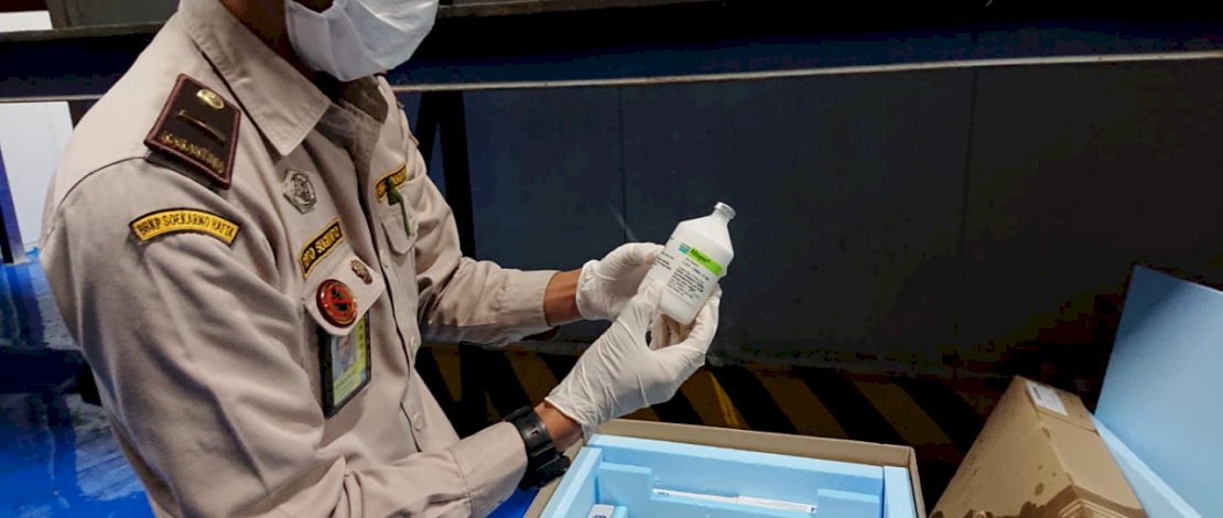 Vaksin hewan ternak khusus Penyakit Mulut dan Kuku (PMK) telah tiba di Tanah Air, Minggu, 12 Juni 2022 lalu.