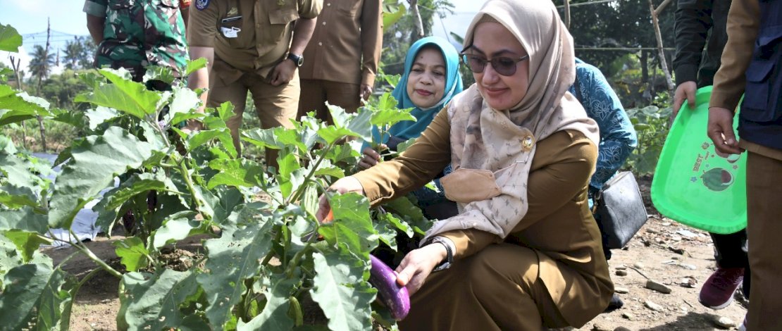 Bupati Indah  Ajak Masyakat Manfaatkan Pekarangan Untuk Berkebun 