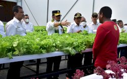 Petani Milenial Dukung Kementan Tingkatkan Ketahanan Pangan Pasca Pandemi Covid-19