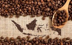 Kementan Dorong Generasi Milenial Bangun Agribisnis Kopi Indonesia Hingga Pasar Dunia