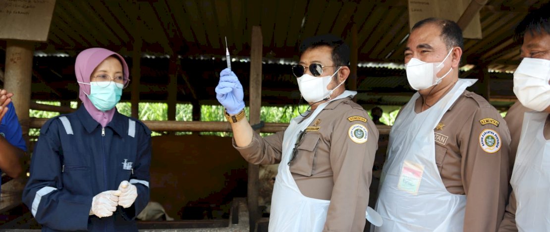 Menteri Pertanian Syahrul Yasin Limpo (Mentan SYL) memimpin Vaksinasi Perdana dan Apel Siaga Penyakit Mulut dan Kuku (PMK) di Jawa Tengah, Sabtu, 18 Juni 2022.
