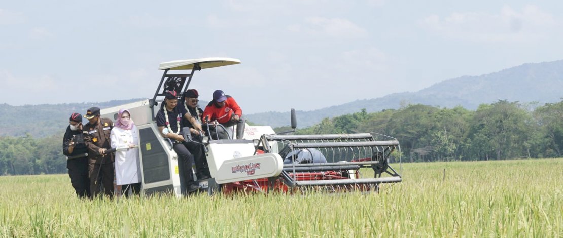 Menteri Pertanian Syahrul Yasin Limpo memperingati Hari Krida Pertanian dengan menggelar panen padi program IP400 dan penanaman Kedelai lokal di Desa Tegalsari, Kecamatan Waru, Kabupaten Sukoharjo, Jawa Tengah.