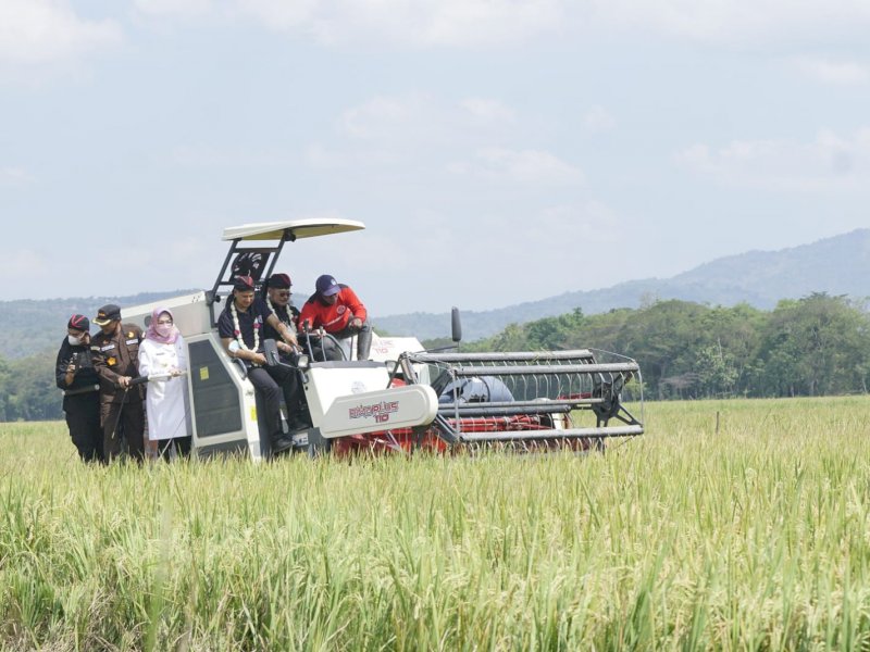 Peringati HKP, Mentan SYL Panen Padi dan Tanam Kedelai di Kabupaten Sukoharjo